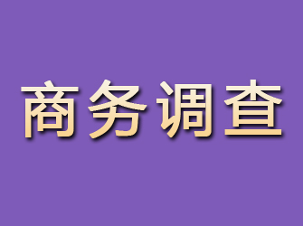 建宁商务调查